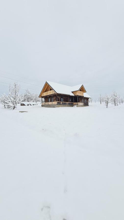 Casa Bunicilor Din Oncesti Onceşti Exterior foto