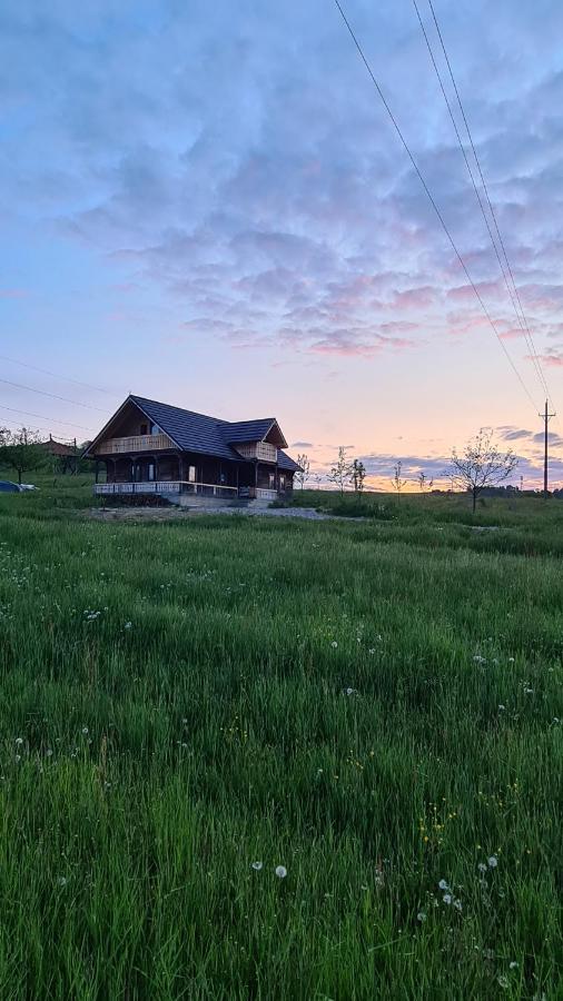 Casa Bunicilor Din Oncesti Onceşti Exterior foto