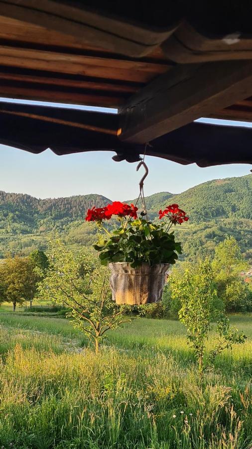Casa Bunicilor Din Oncesti Onceşti Exterior foto
