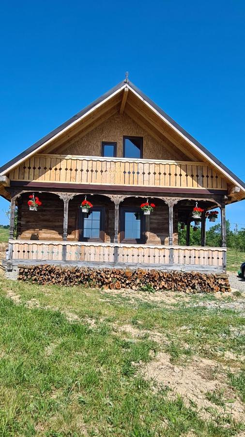 Casa Bunicilor Din Oncesti Onceşti Exterior foto