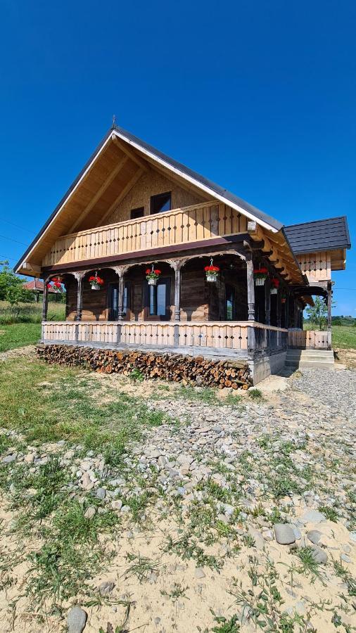 Casa Bunicilor Din Oncesti Onceşti Exterior foto