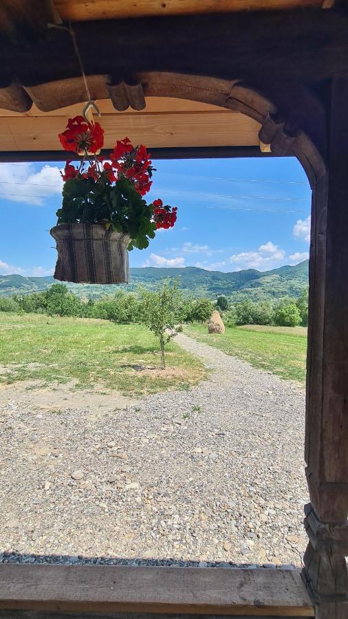 Casa Bunicilor Din Oncesti Onceşti Exterior foto