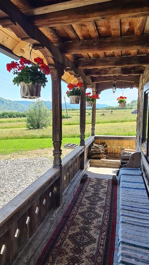Casa Bunicilor Din Oncesti Onceşti Exterior foto