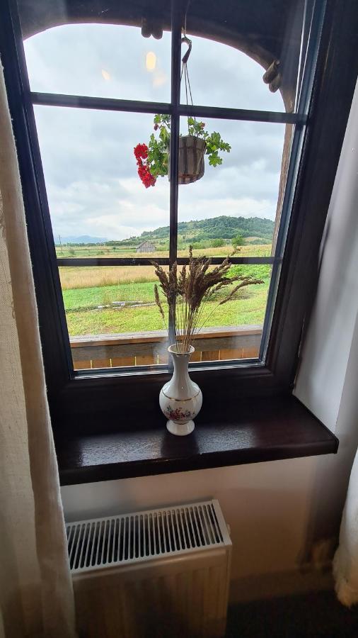 Casa Bunicilor Din Oncesti Onceşti Exterior foto